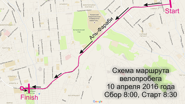 650.jpg