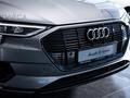 Audi e-tron J 2021 года от 56 845 000 тенге