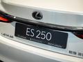 Lexus ES E 2021 - н.в. года от 31 190 000 тенге