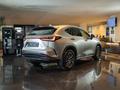 Lexus NX SUV 2021 - н.в. года от 31 490 000 тенге
