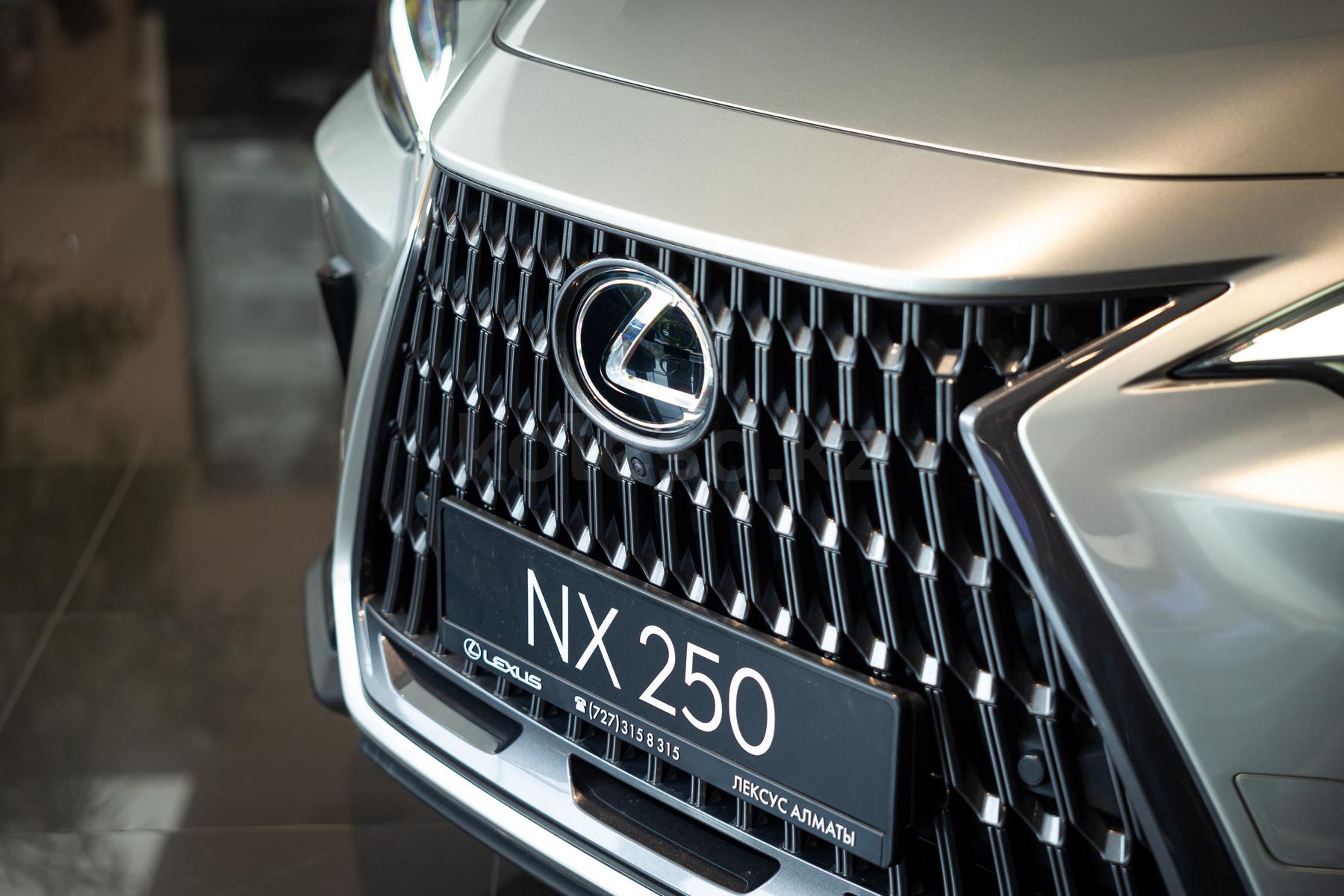 Lexus NX SUV 2021 - н.в. года от 31 490 000 тенге