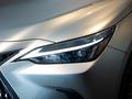 Lexus NX SUV 2021 - н.в. года от 31 490 000 тенге