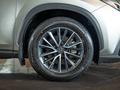 Lexus NX SUV 2021 - н.в. года от 31 490 000 тенге