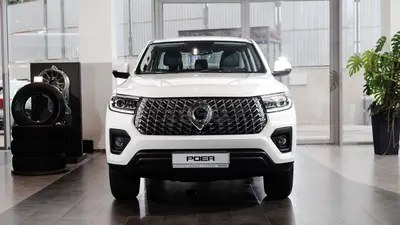 Great Wall Poer