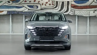 Hyundai Custin