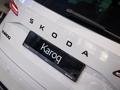 Skoda Karoq SUV 2021 - н.в. года от 17 590 000 тенге