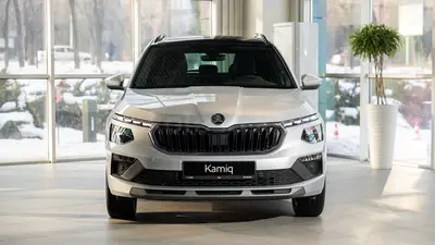 Skoda Kamiq