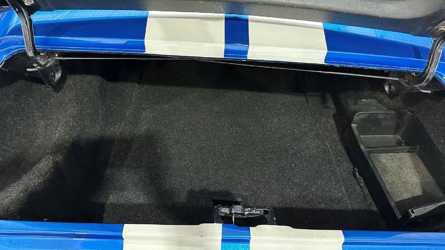 Баварский «Мустанг» родом из ЮАР