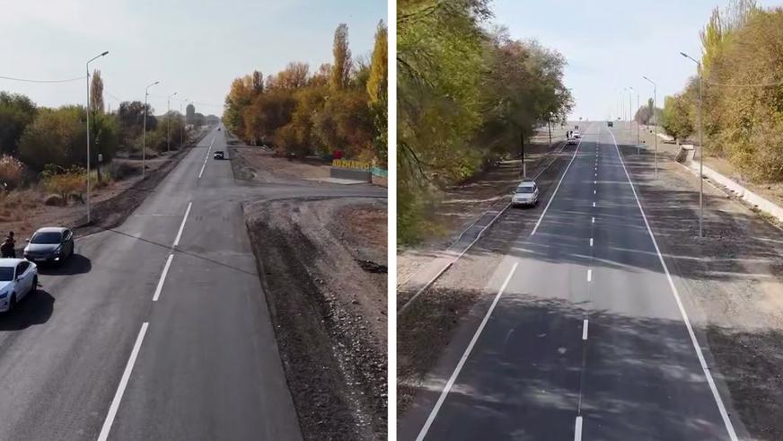 Қыздар мен иттер арасындағы жыныстық қатынас