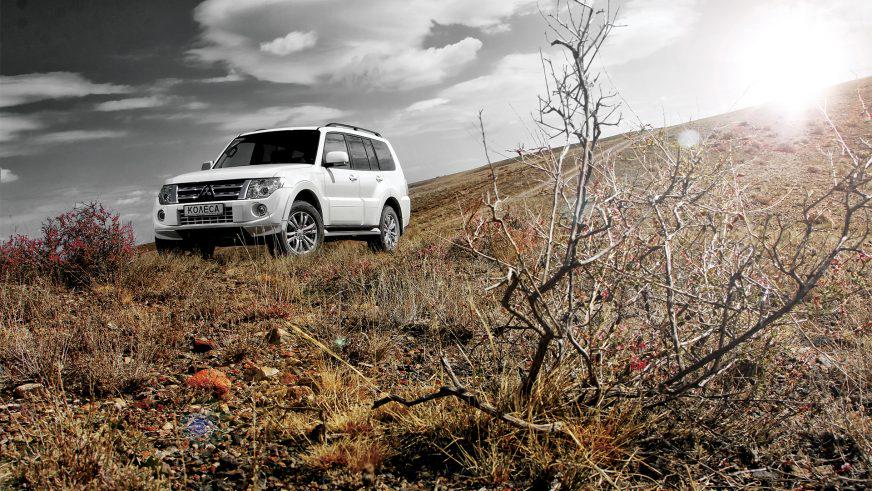 Mitsubishi Pajero - 2012