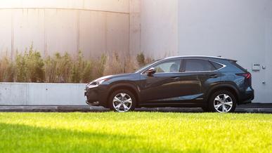 Lexus NX 300h