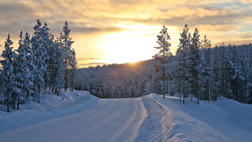 Выбор зимних шин: как найти оптимальный вариант?