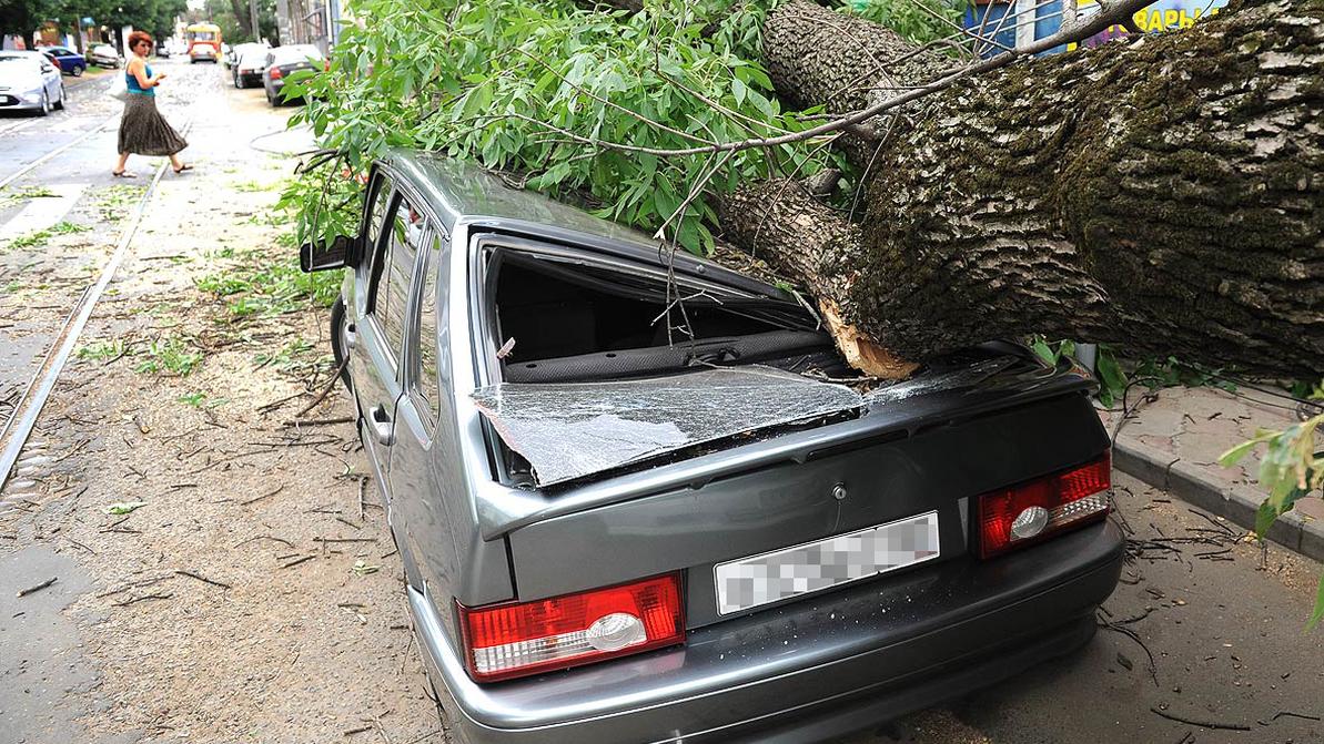 Видео: кусок дерева превратили в точную копию Toyota Land Cruiser Prado