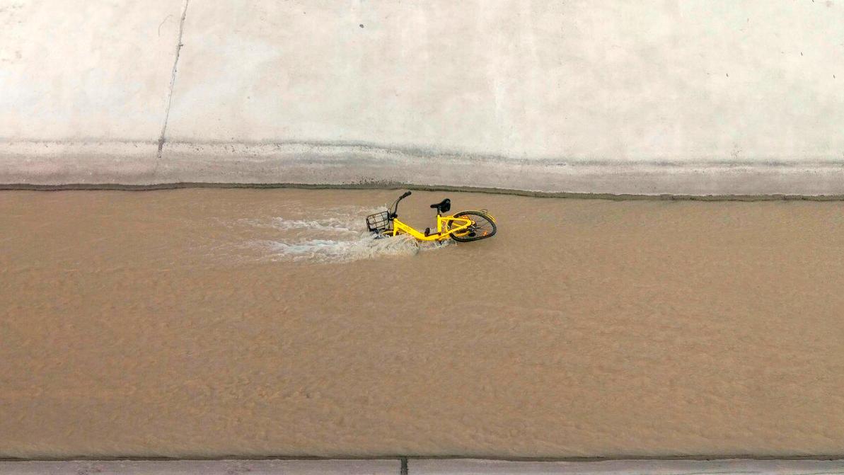 Арендные велосипеды ofo ломают и воруют. С этим вообще борются?