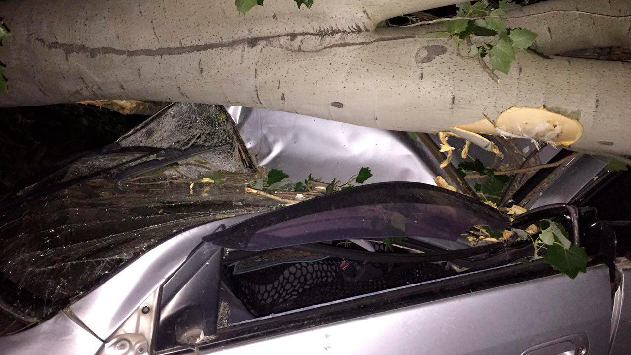 Тополь раздавил Toyota Ipsum в Алматы