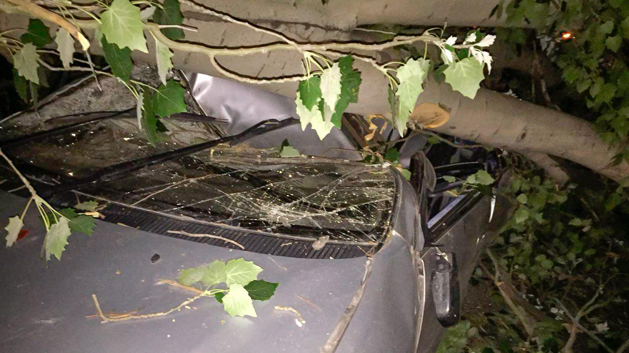 Тополь раздавил Toyota Ipsum в Алматы