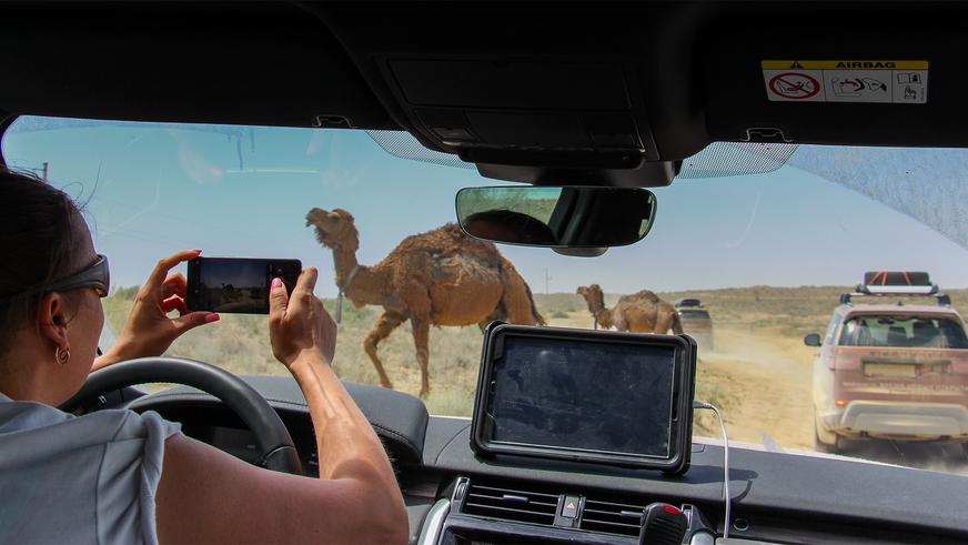 Пять дней с Discovery 5 на Устюрте