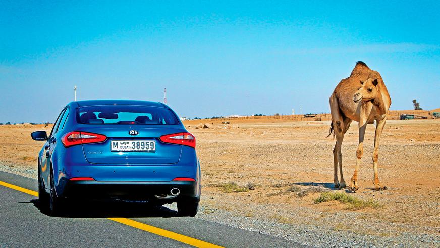 2012–2016. Kia Cerato третьего поколения (YD)