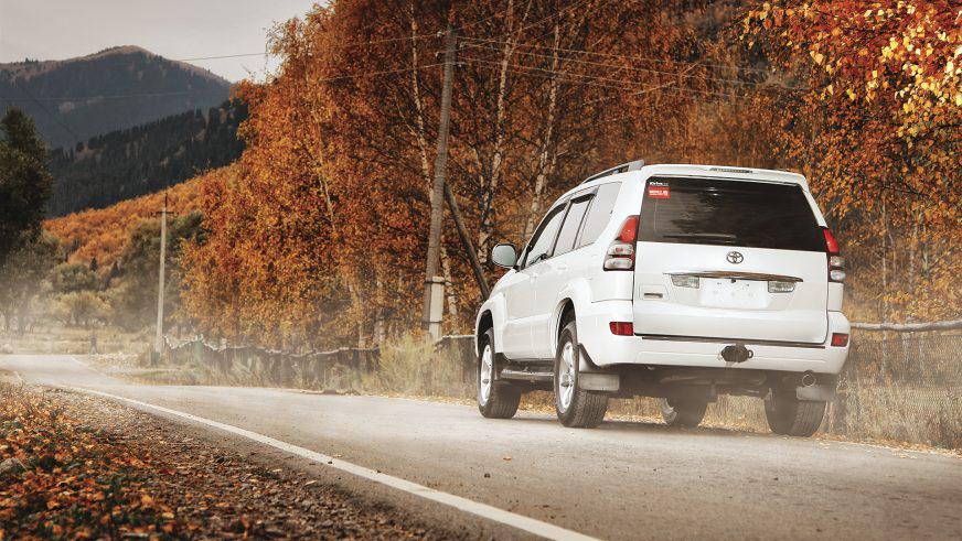 Toyota Land Cruiser Prado - 2008