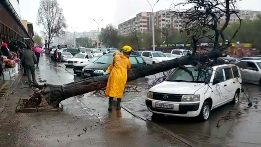 Приплыли: как Алматы встретил весенний ливень