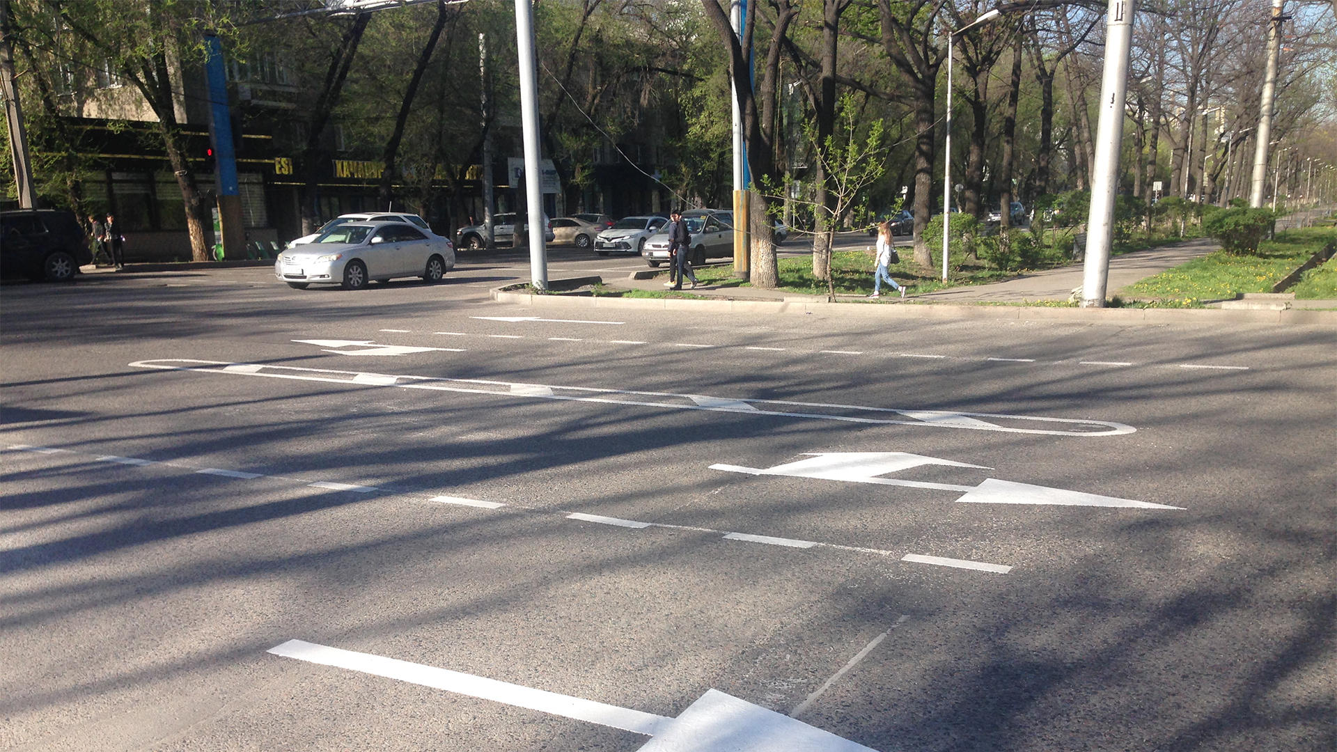 Наказанные за наезд на двойную сплошную смогут вернуть водительские ...