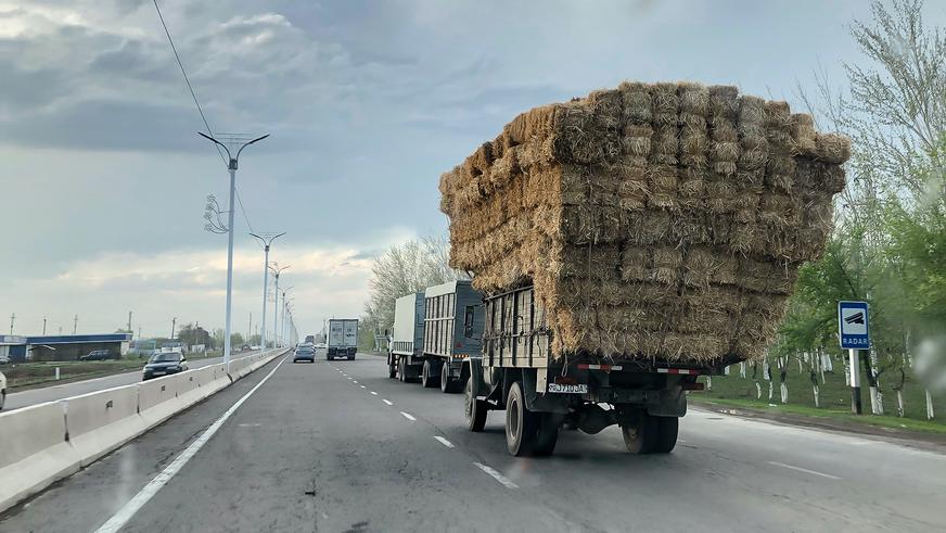 Что нужно знать для поездки в Узбекистан на машине?