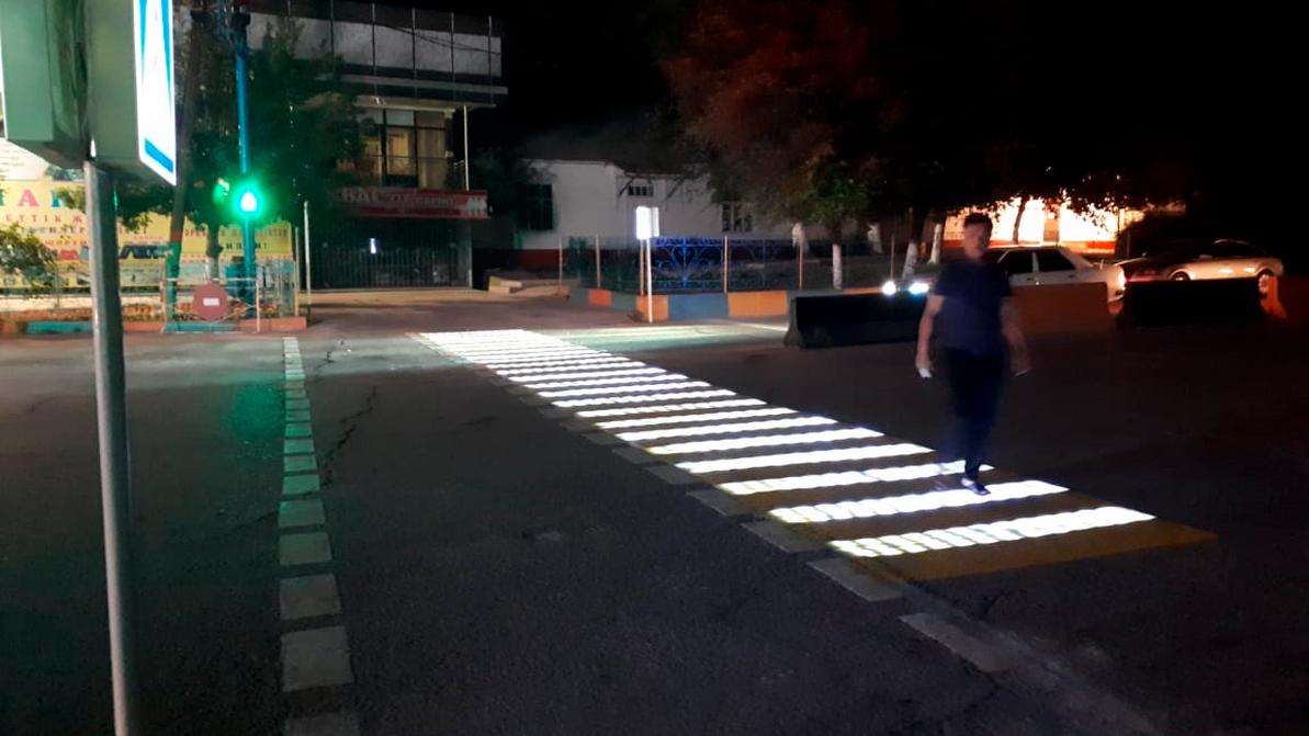 Первая в Казахстане «умная» зебра появилась в Туркестанской области