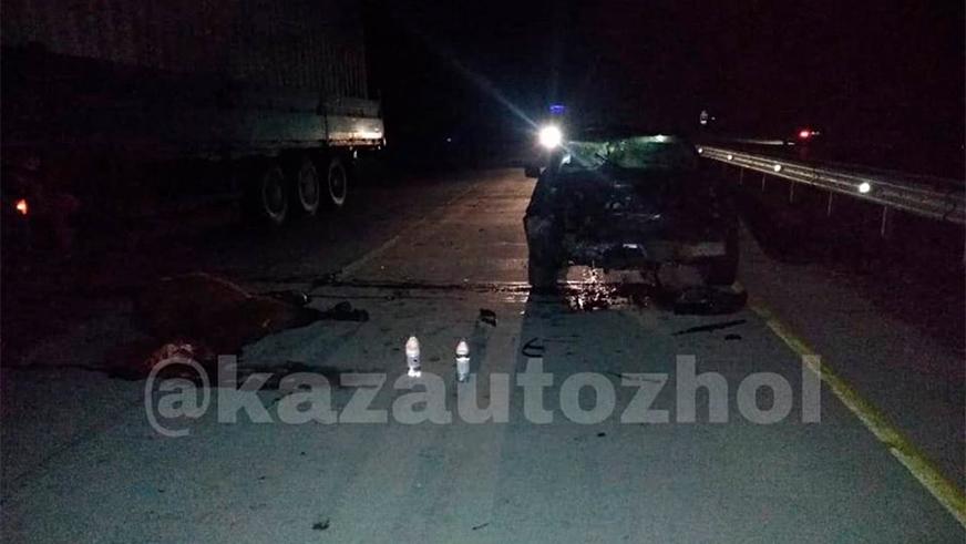 Лошадь на трассе Алматы – Хоргос стала причиной гибели пенсионера