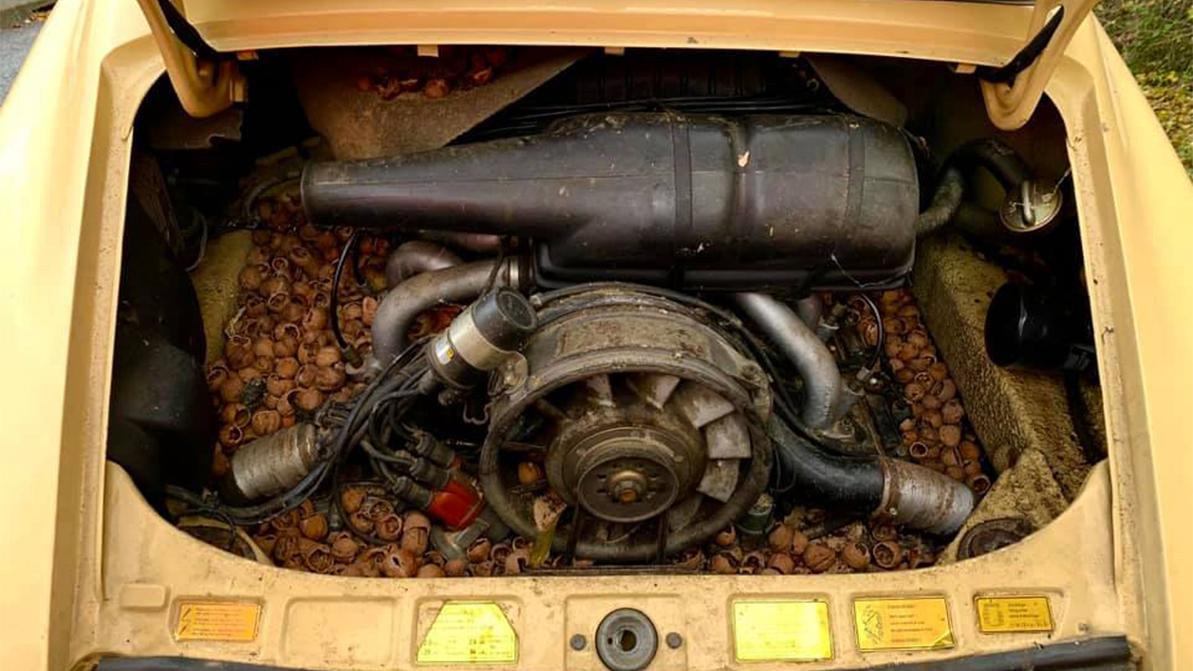 Для хранения орехов белки использовали Porsche 911