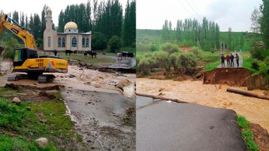 Река смыла мосты и затопила посёлки в Туркестанской области