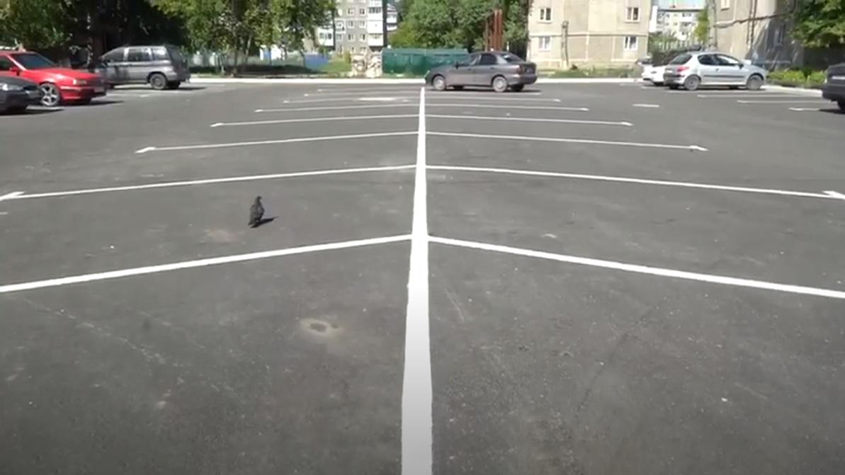 Десять бесплатных парковок обустроят в Петропавловске