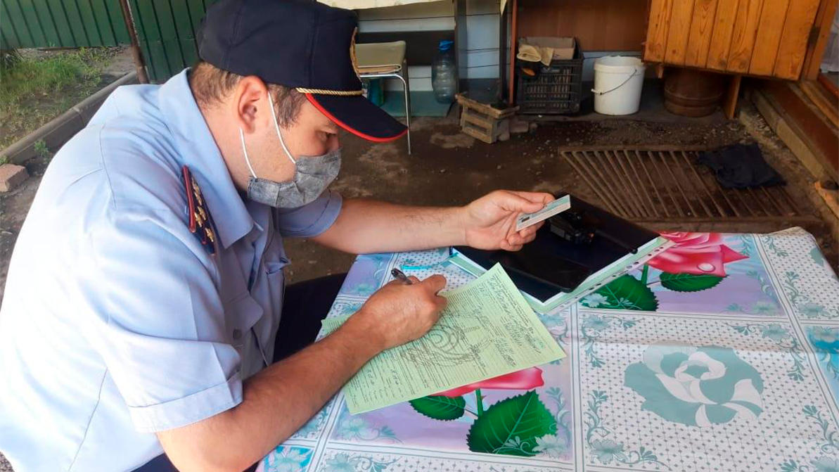 Табун лошадей гулял в Алматы, по развязке над ВОАД