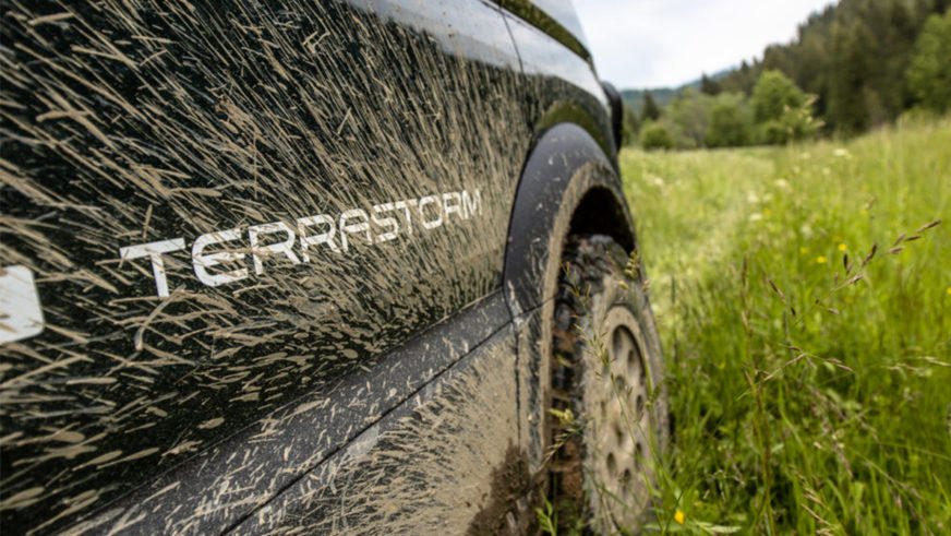 Torsus Terrastorm готовится к показу