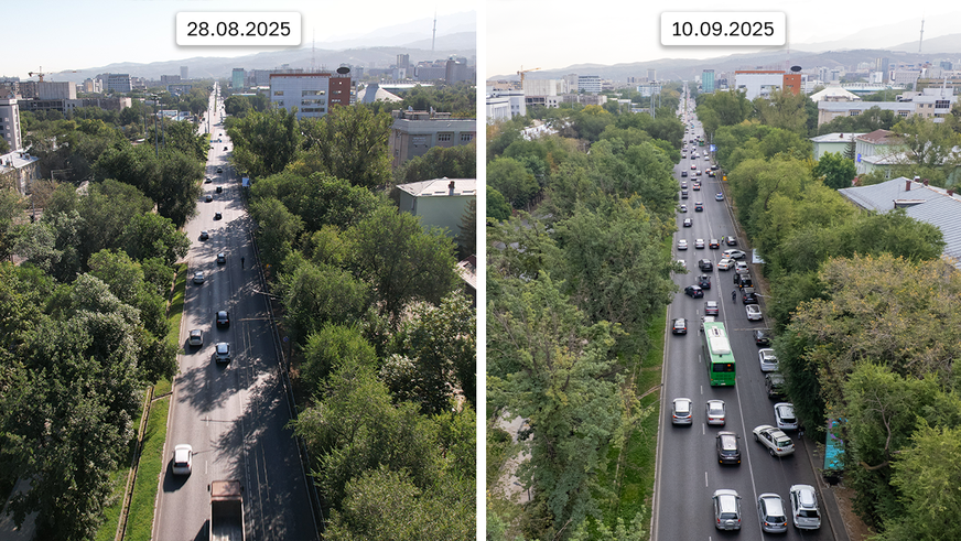 Путь по Абая: один километр за 30 минут