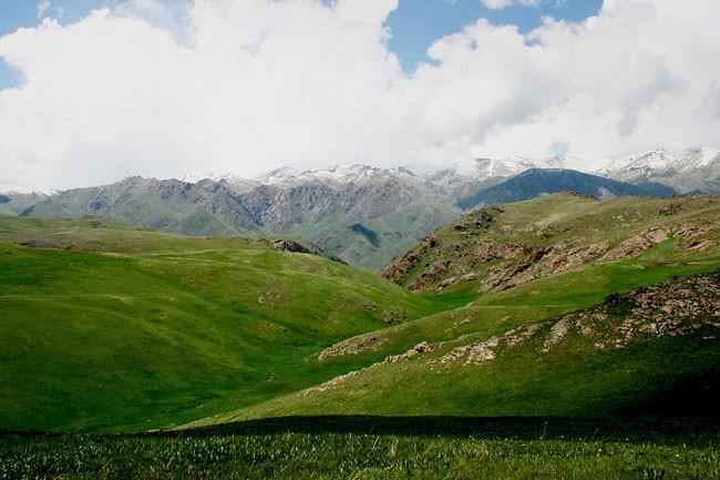 1133-articles-main-1402900149