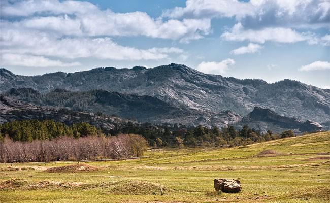 229-articles-main-1348209418