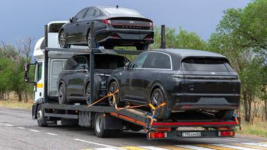 Таможенную пошлину для последовательных гибридов обнулили