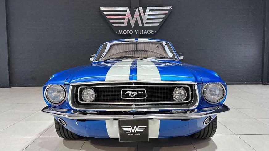 Баварский «Мустанг» родом из ЮАР