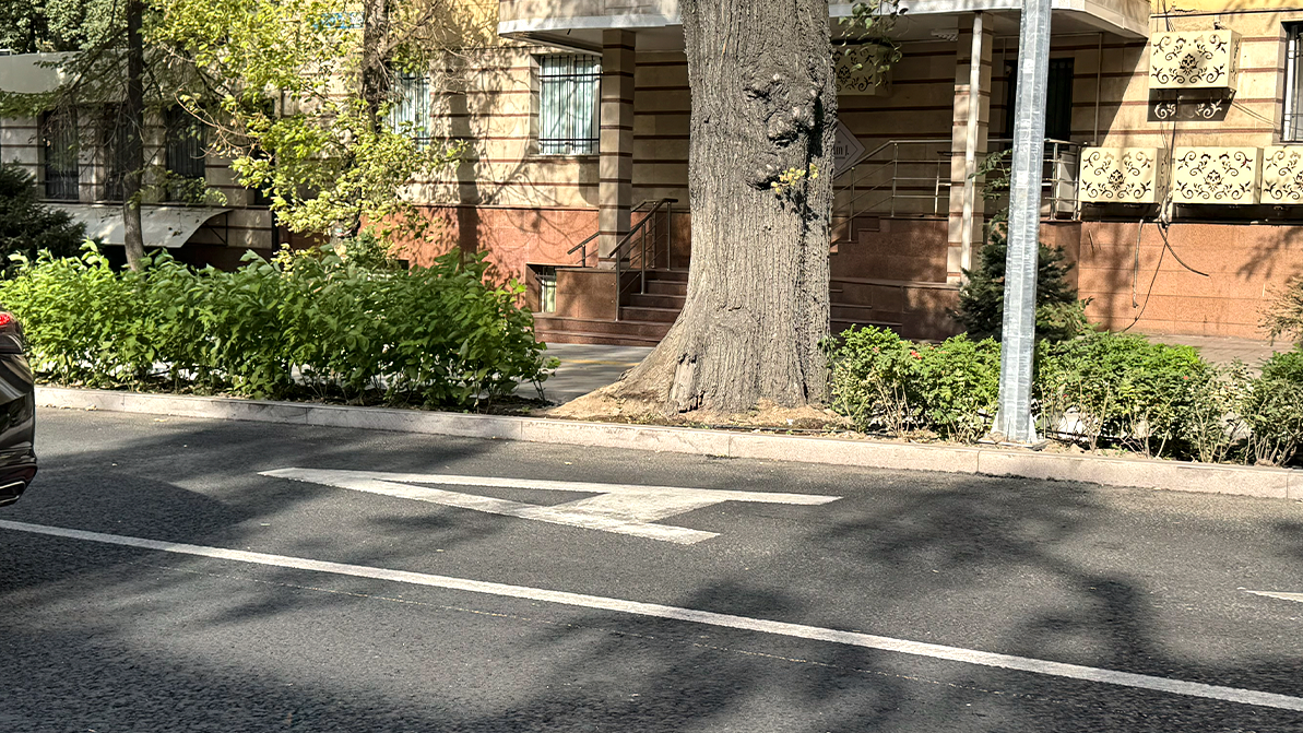 Алматыдағы Желтоқсан көшесіндегі BRT жақында іске қосылады