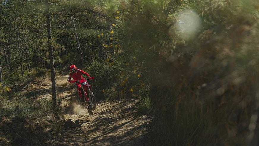 В линейке Ducati появился эндуро