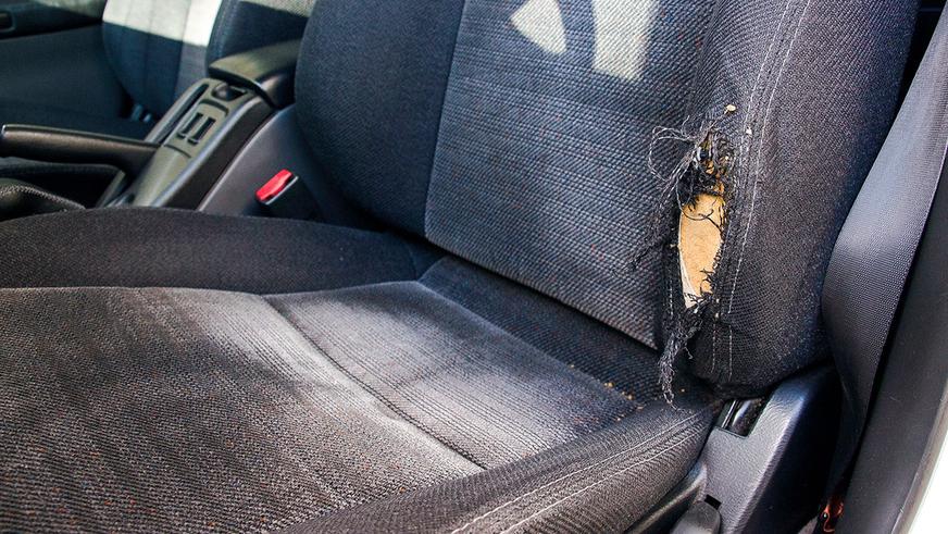 Салон и багажник