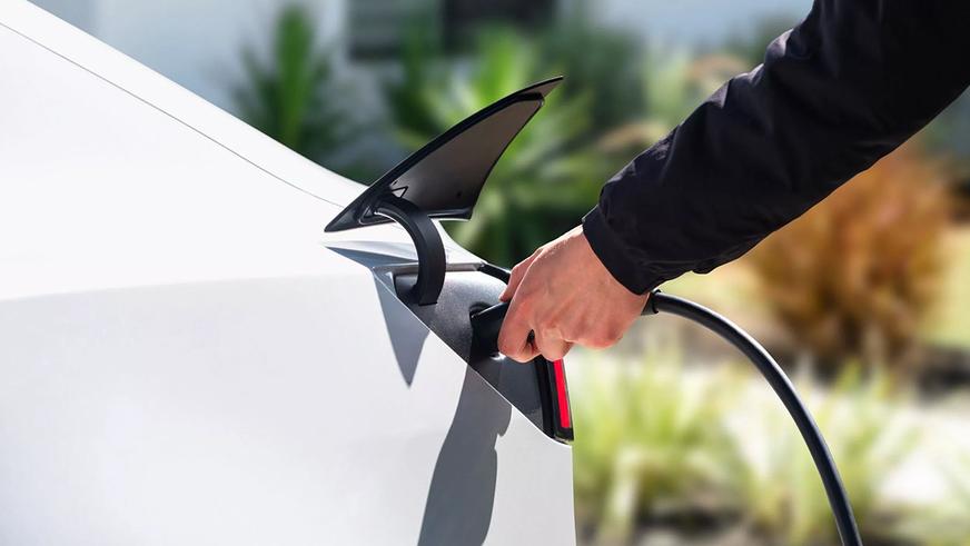 Tesla Model 3 и Model Y стали дешевле и проще