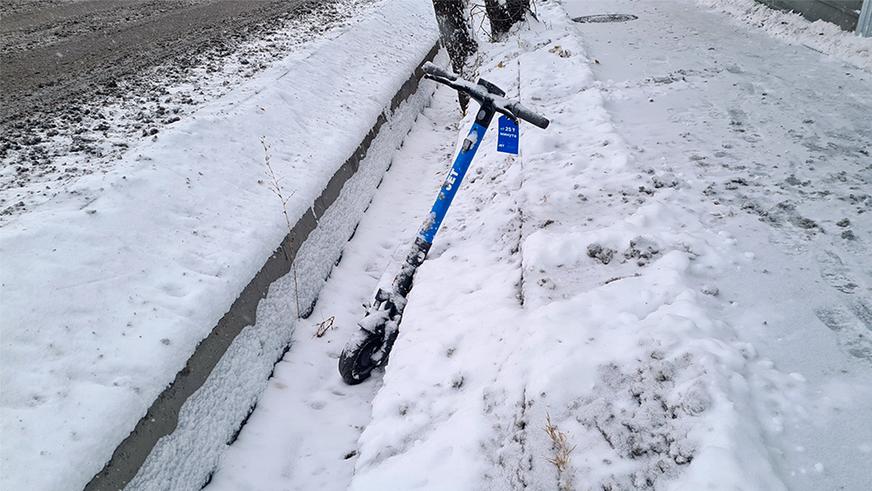 Прокатчики электросамокатов хотят ускорить изменение ПДД