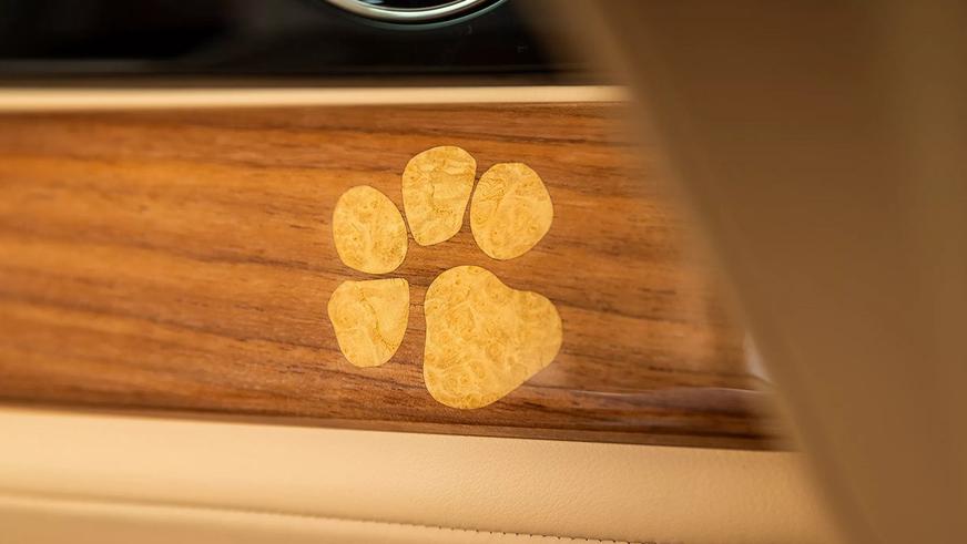 Купе Rolls-Royce посвятили собаке