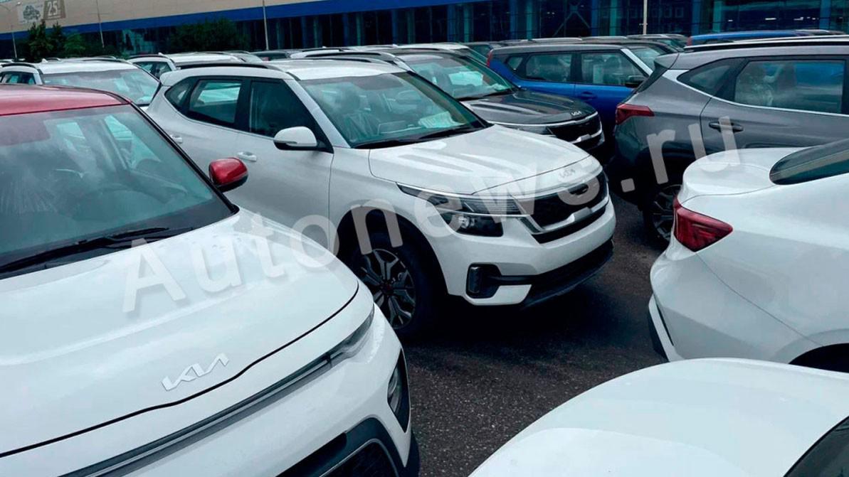 Сотни новых Kia простаивают в&nbsp;Калининграде второй год