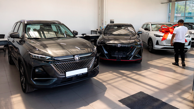 Насколько льготные автокредиты льготные?