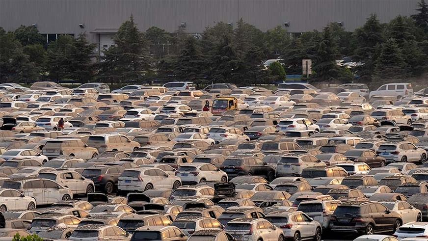 Китайцы сушат «утопленников», чтобы позже продать