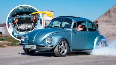 Спорткардан жылдам &laquo;Жук&raquo;