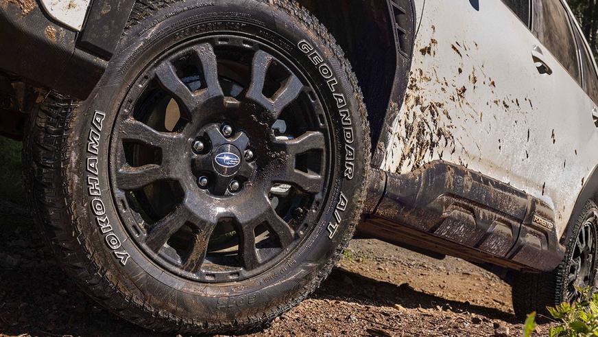 Показаны Subaru Forester Hybrid и Wilderness