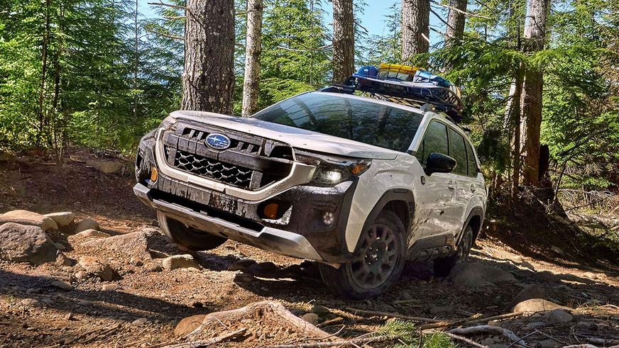 Показаны Subaru Forester Hybrid и Wilderness